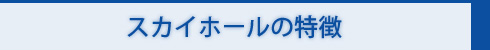 スカイホールの特徴