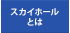 スカイホール とは